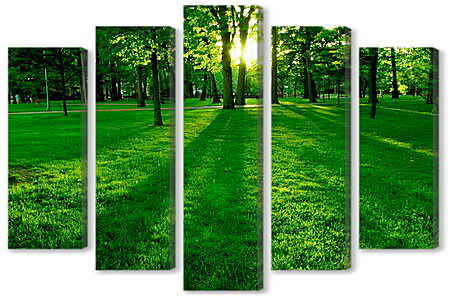 Модульная картина - Трава в парке
