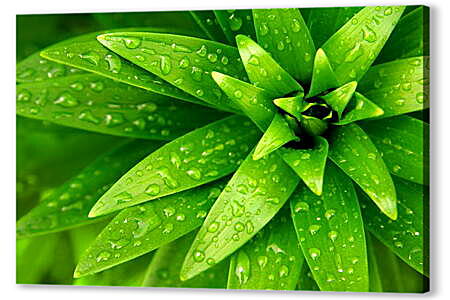 Картина маслом - Ярко зеленые листья
