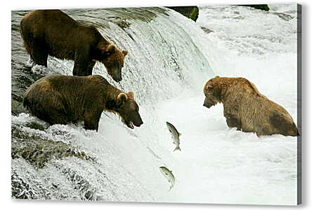 Картина маслом - Медведи в реке
