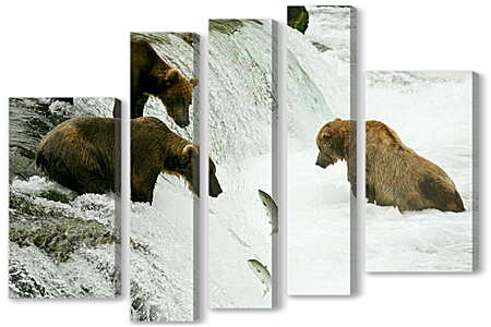 Модульная картина - Медведи в реке
