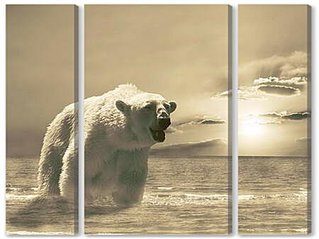 Модульная картина - Большой белый медведь
