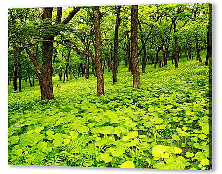 Картина маслом - Лес в зелени
