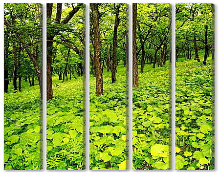 Модульная картина - Лес в зелени
