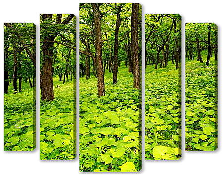 Модульная картина - Лес в зелени
