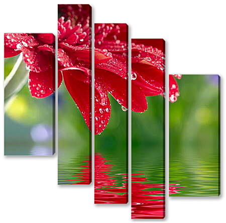 Модульная картина - Красный цветок над водой
