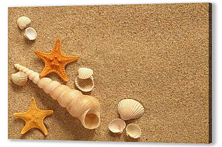 Картина маслом - Ракушки и звезды на песке
