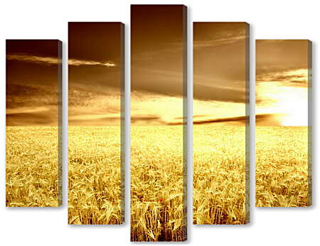 Модульная картина - Пшеница на закате
