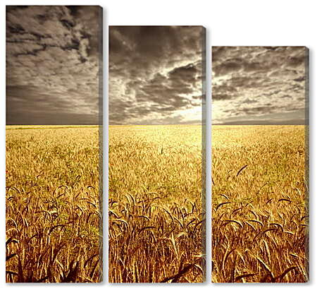 Модульная картина - Пшеничное поле

