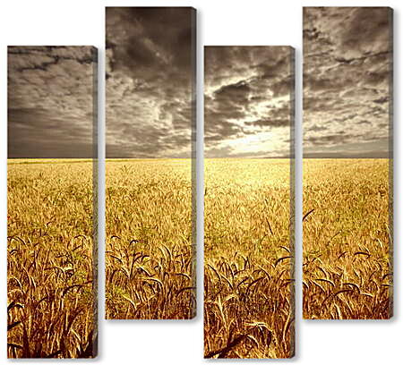Модульная картина - Пшеничное поле
