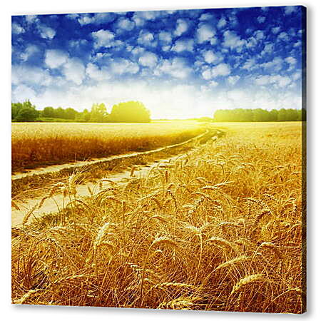 Картина маслом - Дорога в пшеничном поле
