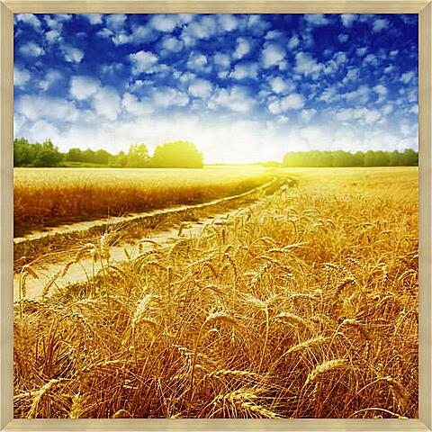 Картина - Дорога в пшеничном поле
