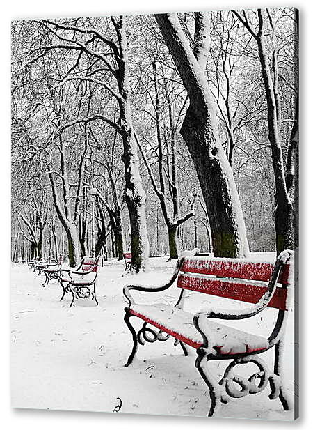 Скамейки в снегу
