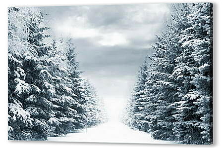 Картина маслом - Ели в снегу
