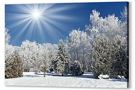 Картина маслом - Красивые деревья в снегу
