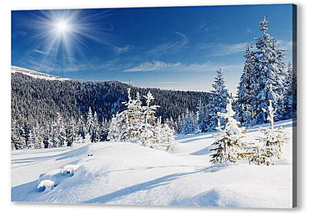 Картина маслом - Лес в снегу
