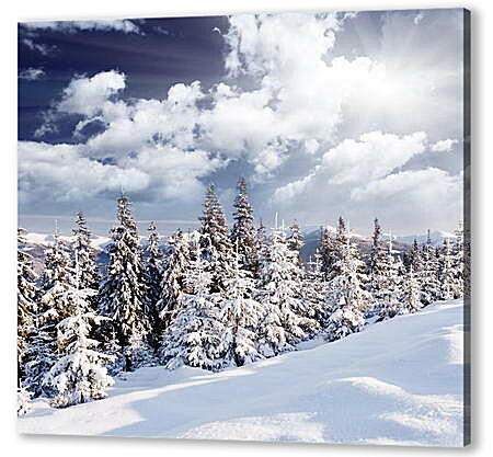 Картина маслом - Елки и белый снег
