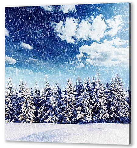 Картина маслом - Ряд снежных елей и снегопад

