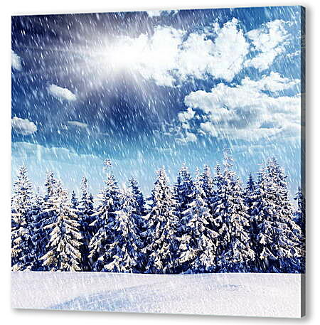Постер (плакат) - Ряд снежных елей снегопад и яркое солнце
