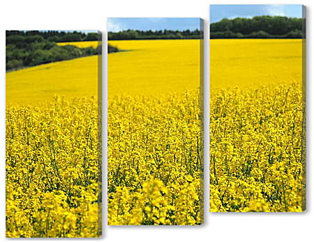 Модульная картина - Желтое поле

