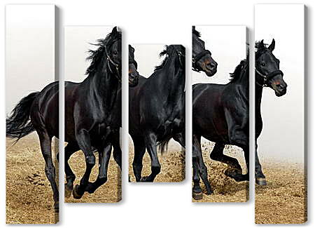 Модульная картина - Три черных коня

