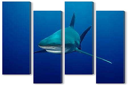 Модульная картина - Акула