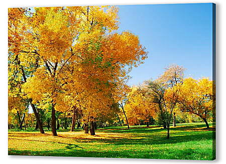 Картина маслом - Осенние деревья
