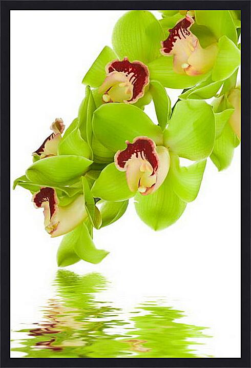 Картина - Орхидеи над водой
