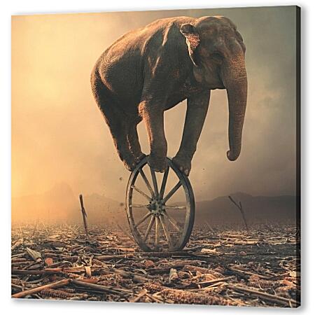 Картина маслом - Слон на колесе