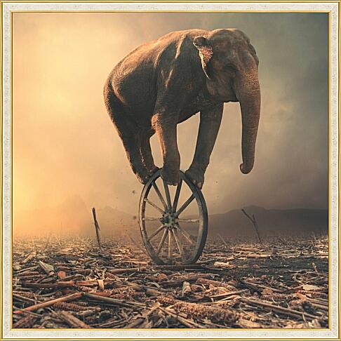 Картина - Слон на колесе