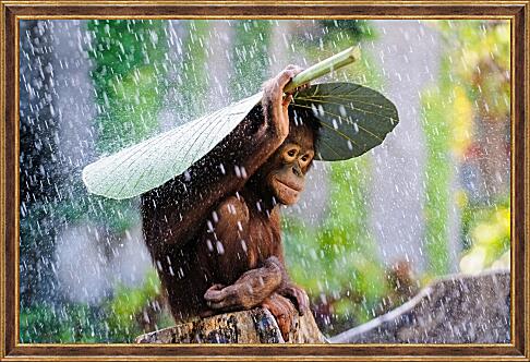 Картина - Обезьянка прячется от дождя