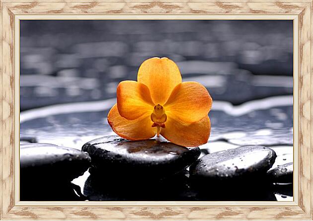 Картина - Жёлтая орхидея