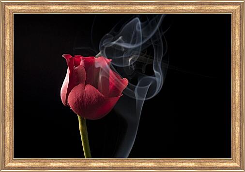 Картина - Красная роза