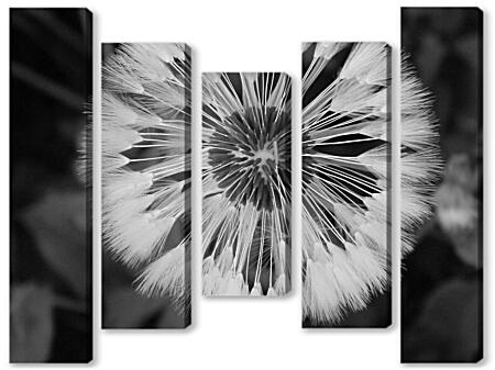 Модульная картина - Одуванчик
