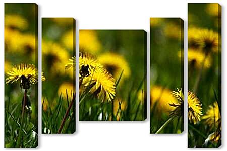 Модульная картина - Одуванчики