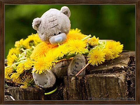 Картина - Мишка и одуванчики