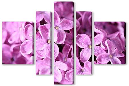 Модульная картина - Сирень