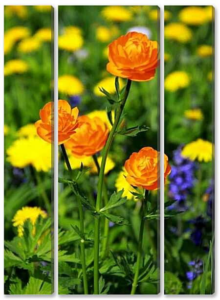 Модульная картина - Оранжевые цветы