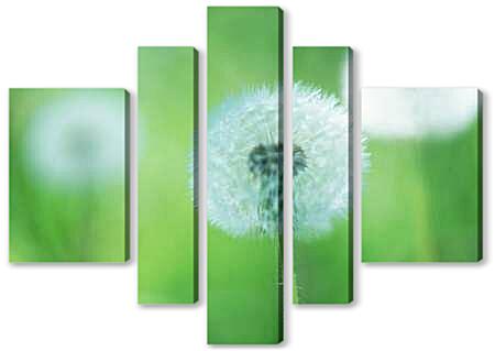 Модульная картина - Одуванчики