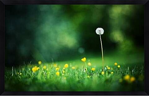 Картина - Одуванчик