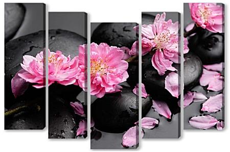 Модульная картина - Цветы сакуры на камнях