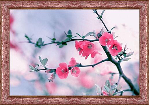 Картина - Цветы вишни