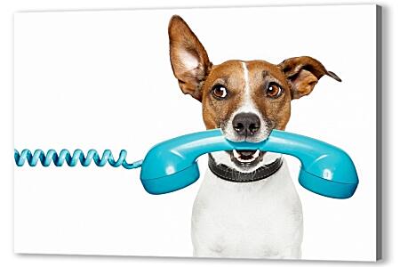 Картина маслом - Собака с телефоном