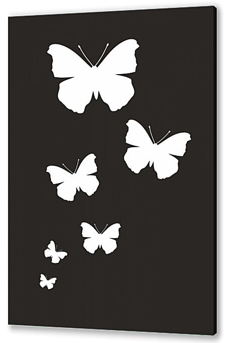 Постер (плакат) - Белые бабочки на черном фоне