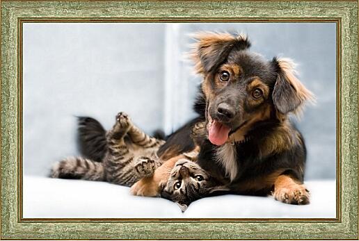 Картина - Собака и котик