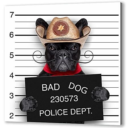 Картина маслом - Собака в полицейском участке