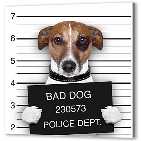 Картина маслом - Собака в полицейском участке