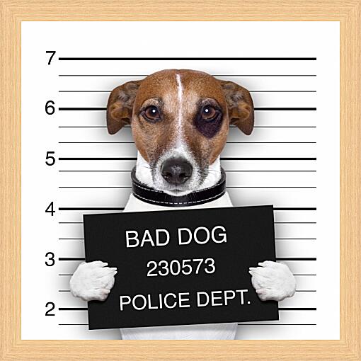Картина - Собака в полицейском участке