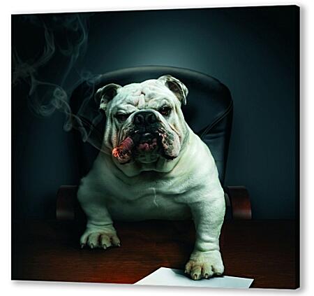 Картина маслом - Собака босс в кабинете