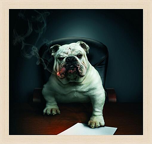 Картина - Собака босс в кабинете