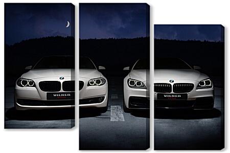 Модульная картина - BMW 5й и 6й серии